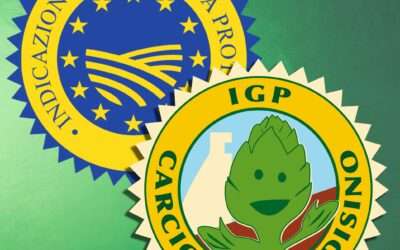Commercializzazione Carciofo Brindisino IGP : aggiornamenti