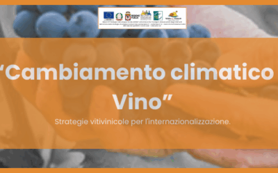 GAL T D M  : VITICOLTURA SOSTENIBILITA’ INNOVAZIONE